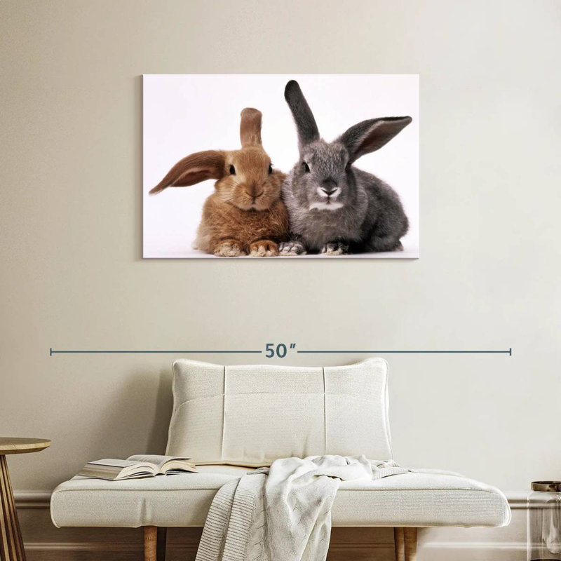 Lapins bruns et gris, H 24 po x l 36 po