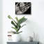 «Generations» par SD Smart, art mural en verre acrylique-377222177