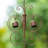 8.5ft 8-Piece Faux Copper Butterfly Shaped Rain Chain with V-Shaped Gutter Clip (KD)