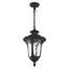 Luminaire suspendu d'extérieur Arelene-1127152991-1106479152