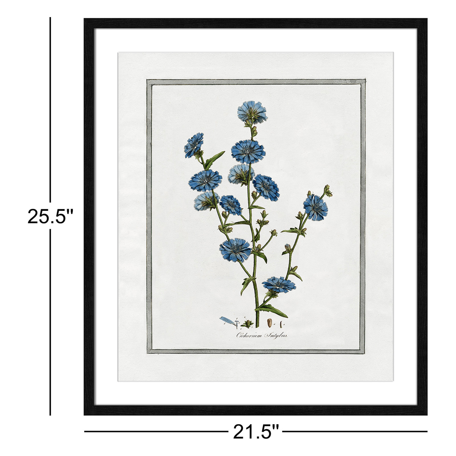 Soft Botanical I - Framed Art Full Bleed, Black Framed, 21.5" W x 25.5" H
