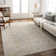 Don Oriental Indoor Rug