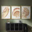 «Vintage Shell Vignette I», impression encadrée sur mesure de qualité supérieure mate - 3 pièces-2126711602-2126711606