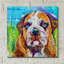 «Bull Dog» par St. Hilaire Elizabeth-594653135