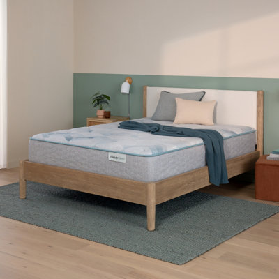 Matelas ferme ferme 10 po Beauty Sleep