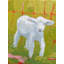 Baby Lamb Print by Phyllis Adams-64402130