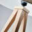 Cas 60.25'' Natural Oak Veneer Tripod Floor Lamp