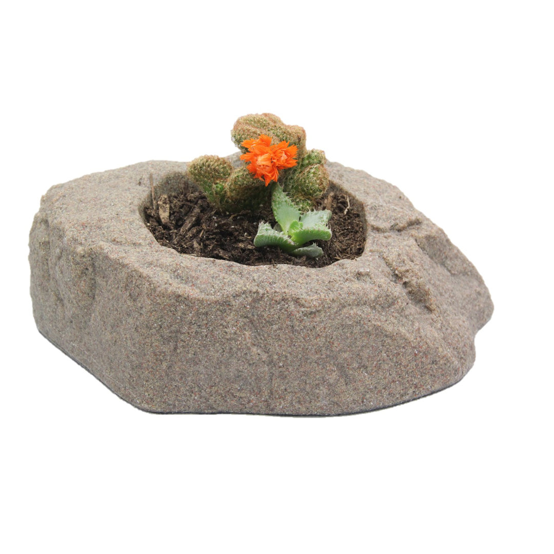 Wickes Pot Planter Ebern Designs 