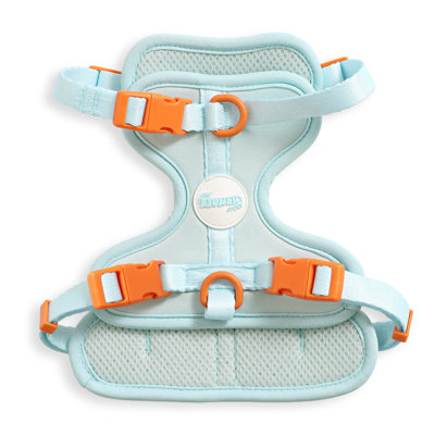 Arlo Adjustable Soft Padded No Pull Pet Harness with 3 Buckles and 3 Leash Clips