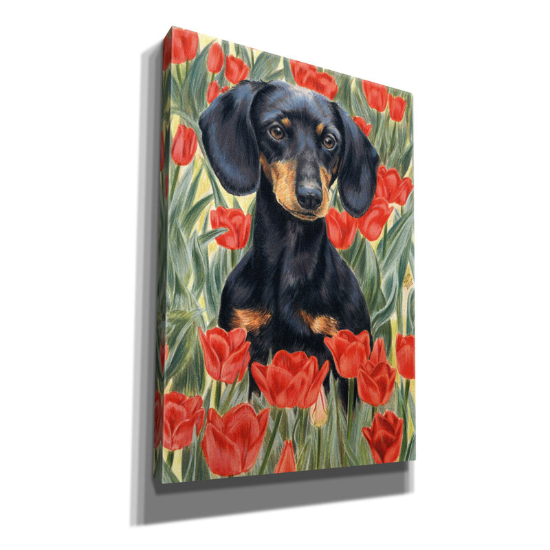 «Dachsund In Tulips» par Barbara Keith, art mural sur toile, H 26 po x l 18 po x P 0,75 po