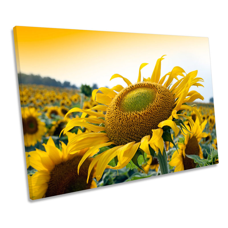 Sunflower Sunset Flower - Wrapped Canvas Print, 81.3cm H x 121.9cm W x 4cm D