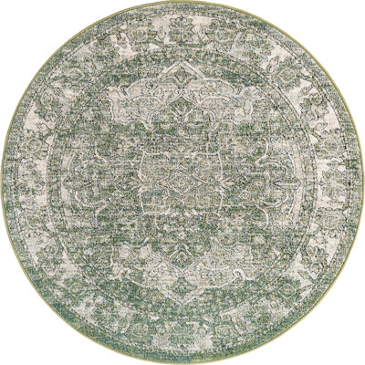 Mekalah Oriental Indoor Rug