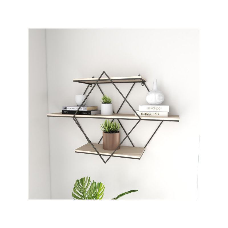 Alveston 3 Piece Tiered Shelf with Hooks