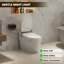 Siège de toilette intelligent PineLn
