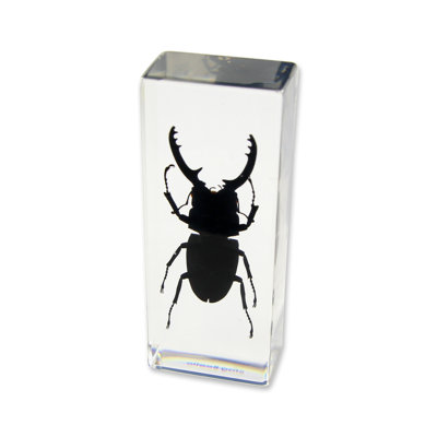 Raiden Animals Figurines & Sculptures