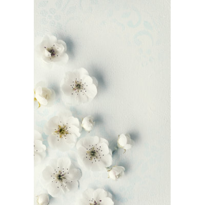 Fond de fleurs rustiques par Ivan Bajic