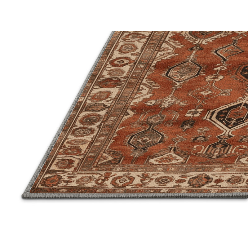 Tapis brun lavable à la machine, Rectangle 5 pi x 8 pi