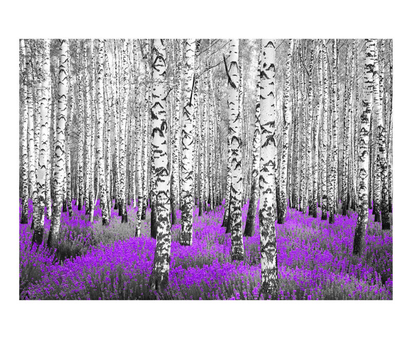Crickmore Wall Mural, 68.9" L x 96.5" W