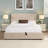 Upholstered Metal Platform Storage Bed-232210186