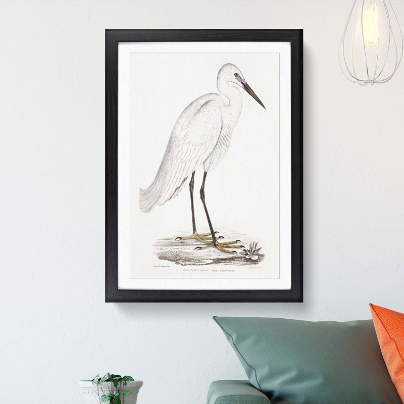 White Heron by John Edward Gray - Framed Print, 48cm H x 36cm W x 2cm D, Black Framed