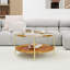 Table basse ronde avec plateau en verre trempé et structure en fer doré, rangement double couche, table de salon de 32,28 pouces de diamètre
