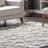 Indoor Rug-2064822540