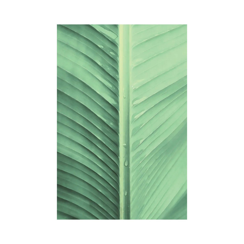 Banana Leaf by Emanuela Carratoni - Wrapped Canvas Gallery-Wrapped Canvas Giclée, 30.48cm H x 20.32cm W x 1.91cm D