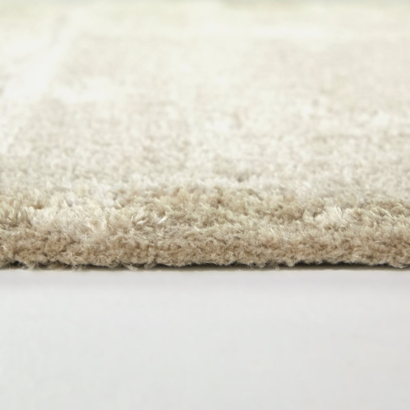 Rakhimov Taupe Solid Border Area Rug, Rectangle 5'3" x 7'