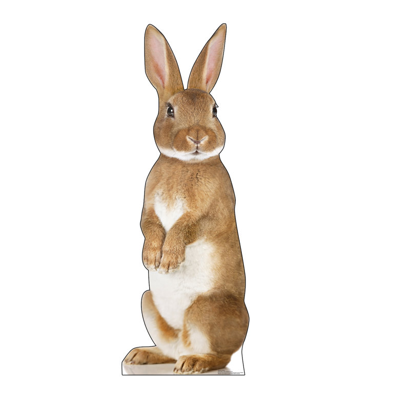72'' Brown and White Bunny Rabbit Cardboard Standup