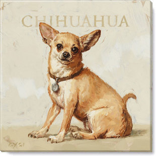 " Chihuahua Giclee Wall Art " by Darren Gygi