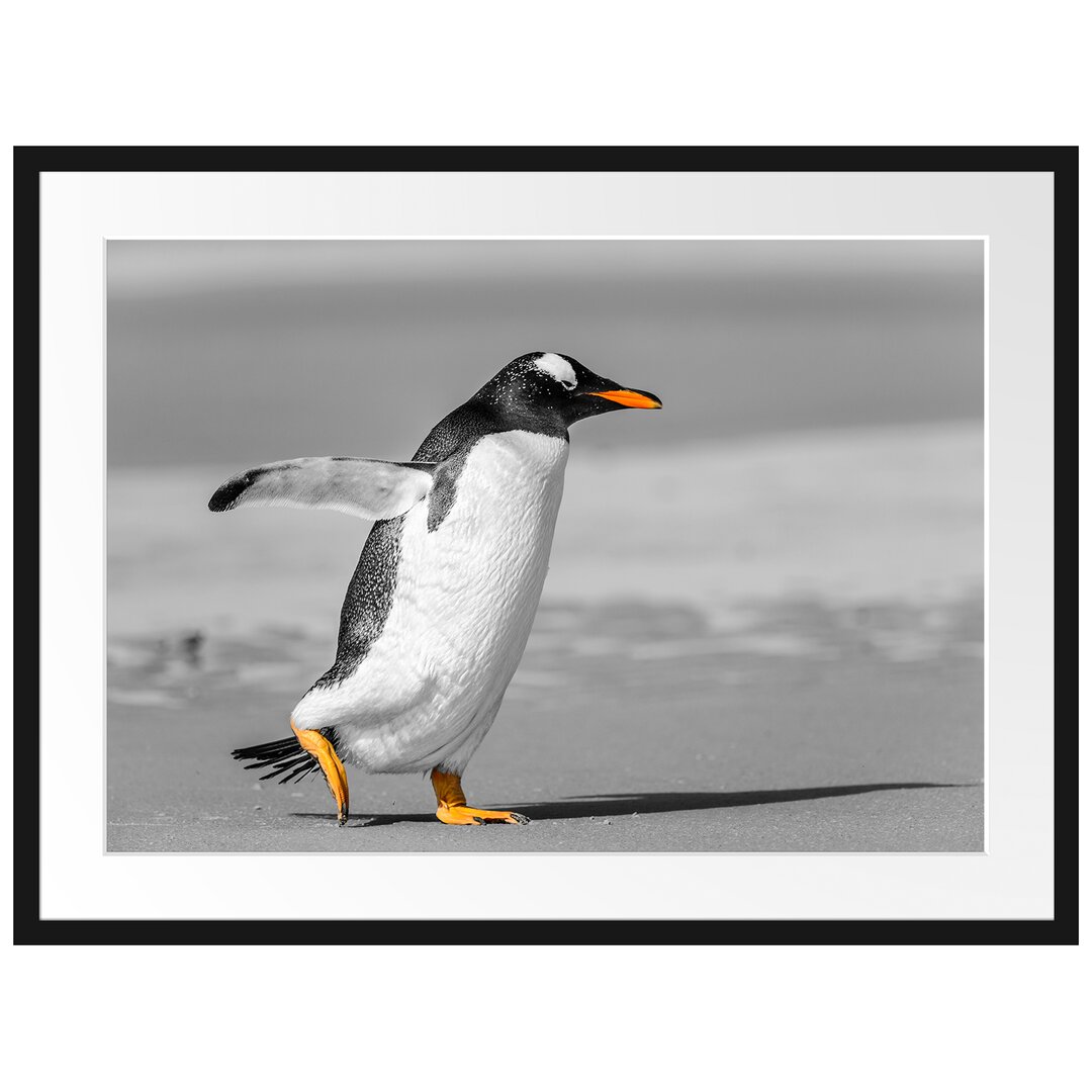 Gerahmtes Poster Watschelnder Pinguin am Strand