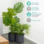 Aben Pot Planter-1836459498