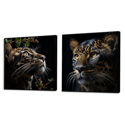 Ensemble de 2 Leopard Nighttime Observer