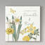 « citron curiosities v », reproduction d’impression sur toile tendue-31383871