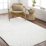 Carollyn Nomadic Machine Woven Polyester Area Rug in White