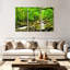 Alvord Smolny Forest Stream-108139847