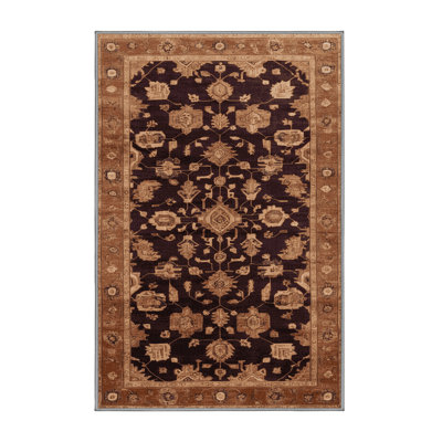 Machine Washable Overdyed Brown Area Rug
