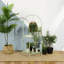Intosh Kitchen Island-41880265