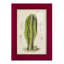 Cactus antique VI - impression encadrée avec verre-89834677-89834678