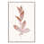 White Framed Canvas is unavailable