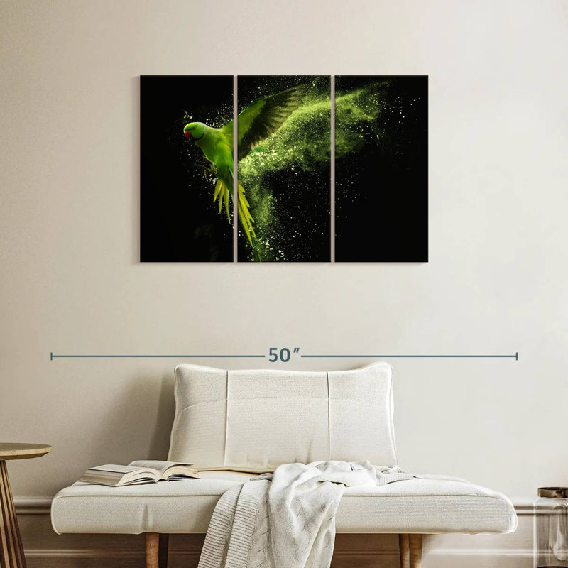 Brampt Alexandrine Parakeet, 24" H x 38" W