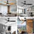 Emidia 52'' Standard Ceiling Fan with LED Lights Black-144309695-147317770