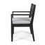 Ensemble de 2 chaises d'extérieur gris foncé avec coussin gris clair-1412152359