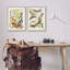 Moths rétro, études latines par World Art Group - ensemble de 2 impressions sur bois-534230368-534230370