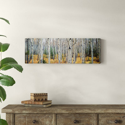 " Aspen trees in a forest Alberta, Canada "