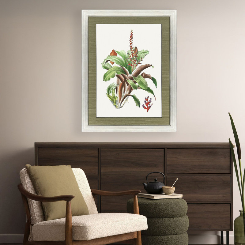 Cactus, art floral encadré