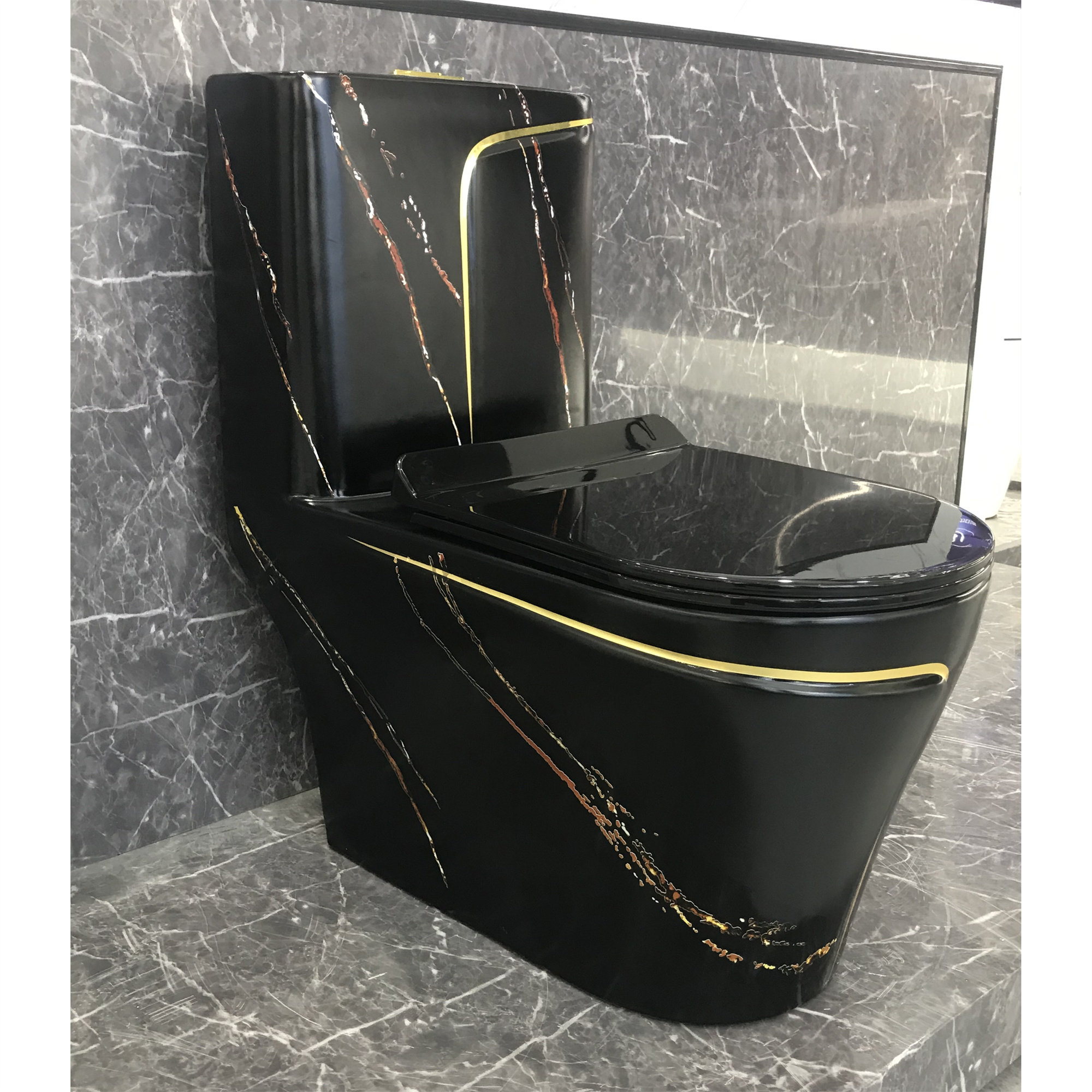 https://assets.wfcdn.com/im/90670200/compr-r85/2382/238245235/dual-flush-elongated-one-piece-black-toilet-seat-included.jpg