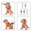 Brosse à chat pour chats et chiens-125302063