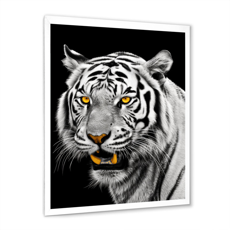 Tigre blanc féroce VI - animaux, art mural, salon, H 32 po x l 24 po x P 1 po, Cadre simple blanc