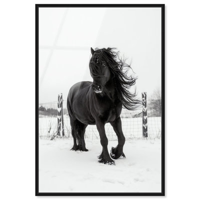 «Black Stallion II», reproduction d'art acrylique encadrée par Art Remedy, cadre noir, 20 x 30
